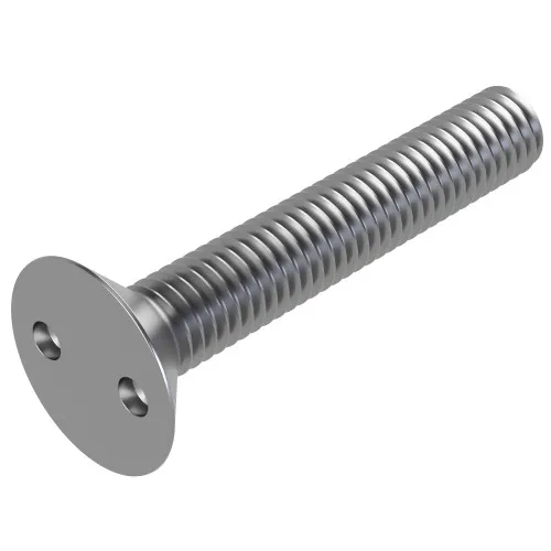 M5 x 30mm Snake Eye Countersunk Screw (2-Way Tamper Proof) | A2 Stainless Steel