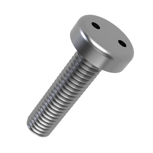 M5 x 12mm Snake Eye Pan Head Security Screw (2-Way Tamper Proof) | A2 Stainless Steel