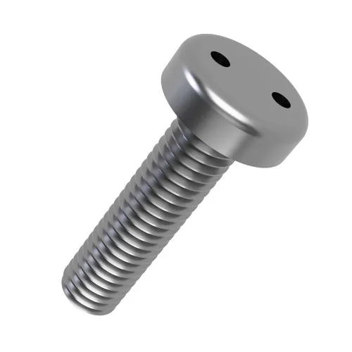 M5 x 12mm Snake Eye Pan Head Security Screw (2-Way Tamper Proof) | A2 Stainless Steel