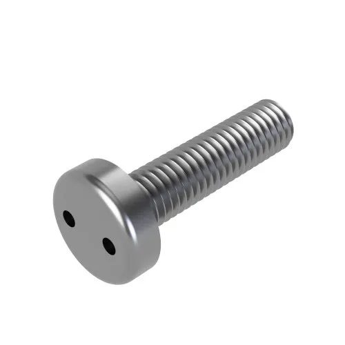 M5 x 12mm Snake Eye Pan Head Security Screw (2-Way Tamper Proof) | A2 Stainless Steel