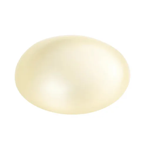 6.4mm x 1.6mm Stick on Feet - Clear | Vital Parts