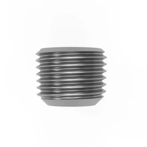 M10 x 10 Socket Pipe Plug DIN 906 A2