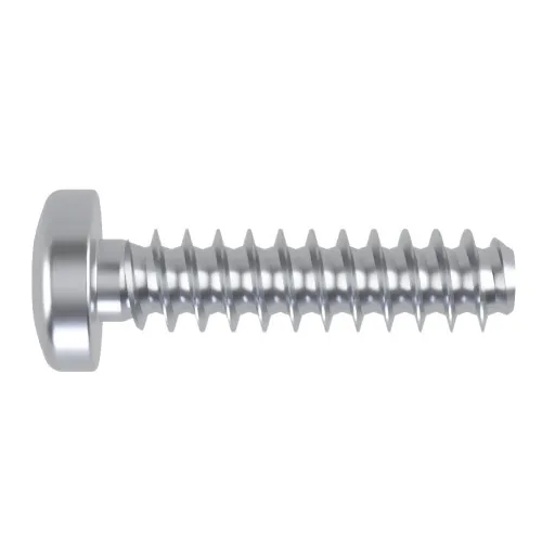 3mm x 12mm Torx Pan Head Screw for Soft Plastics (PT30) | BZP Steel