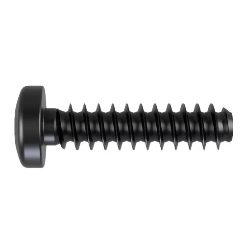 5mm x 12mm Torx Pan Head Screw for Soft Plastics (PT30) | Black Zinc Steel
