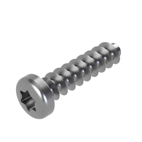 4mm x 16mm Torx Pan Screw for Hard Plastics (PT45) - T15 Drive | A2 Stainless Steel