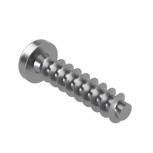 4mm x 20mm Torx Pan Screw for Hard Plastics (PT45) - T15 Drive | A2 Stainless Steel