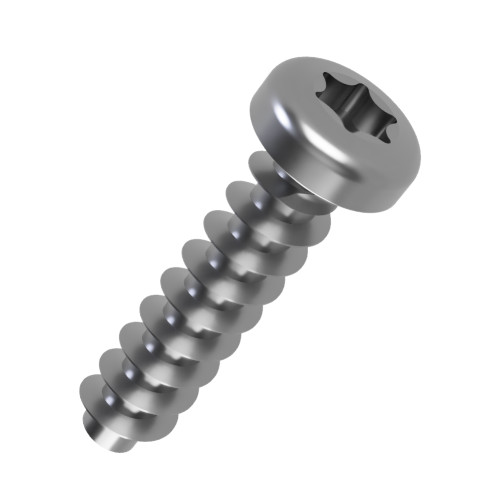 4mm x 6mm Torx Pan Screw for Hard Plastics (PT45) - T15 Drive | A2 Stainless Steel
