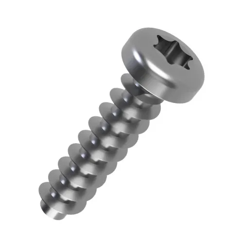4mm x 6mm Torx Pan Screw for Hard Plastics (PT45) - T15 Drive | A2 Stainless Steel