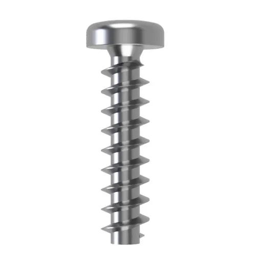 4mm x 6mm Torx Pan Screw for Hard Plastics (PT45) - T15 Drive | A2 Stainless Steel