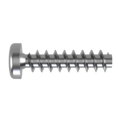 4mm x 6mm Torx Pan Screw for Hard Plastics (PT45) - T15 Drive | A2 Stainless Steel