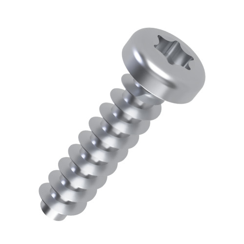 5mm x 12mm Torx Pan Screw for Hard Plastics (PT45) - T20 Drive | BZP Steel