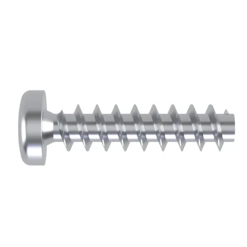 5mm x 16mm Torx Pan Screw for Hard Plastics (PT45) - T20 Drive | BZP Steel