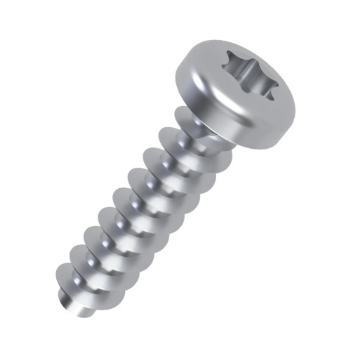 5mm x 30mm Torx Pan Screw for Hard Plastics (PT45) - T20 Drive | BZP Steel