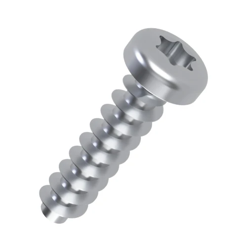 5mm x 30mm Torx Pan Screw for Hard Plastics (PT45) - T20 Drive | BZP Steel