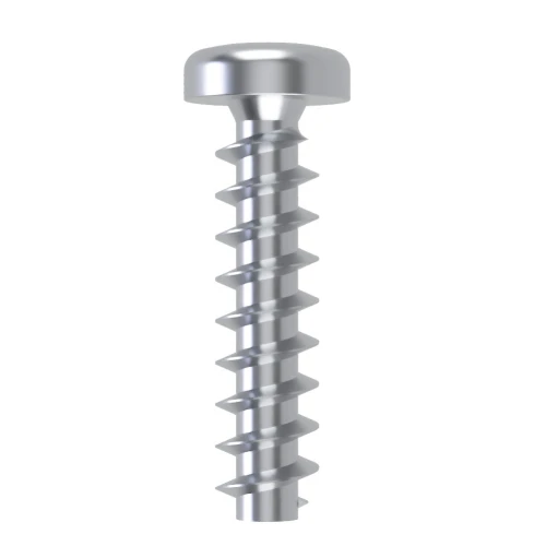 5mm x 30mm Torx Pan Screw for Hard Plastics (PT45) - T20 Drive | BZP Steel