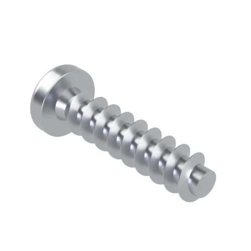 5mm x 30mm Torx Pan Screw for Hard Plastics (PT45) - T20 Drive | BZP Steel