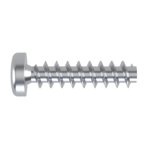 5mm x 30mm Torx Pan Screw for Hard Plastics (PT45) - T20 Drive | BZP Steel