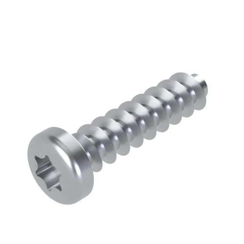 5mm x 30mm Torx Pan Screw for Hard Plastics (PT45) - T20 Drive | BZP Steel
