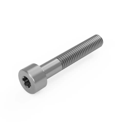M5 x 25mm Torx Socket Cap Screw ISO 14579