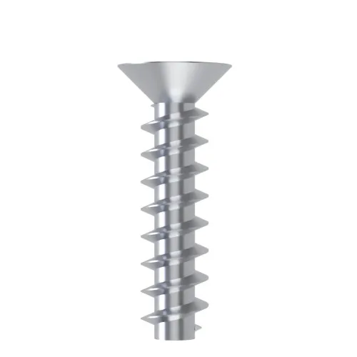 5mm x 25mm Pozi Countersunk Screw for Hard Plastics (PT45) - PZ2 Drive | BZP Steel