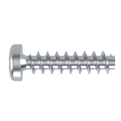 Pozi Pan PT45 Screws for Hard Plastics - ZPPT45-25-10-BZP