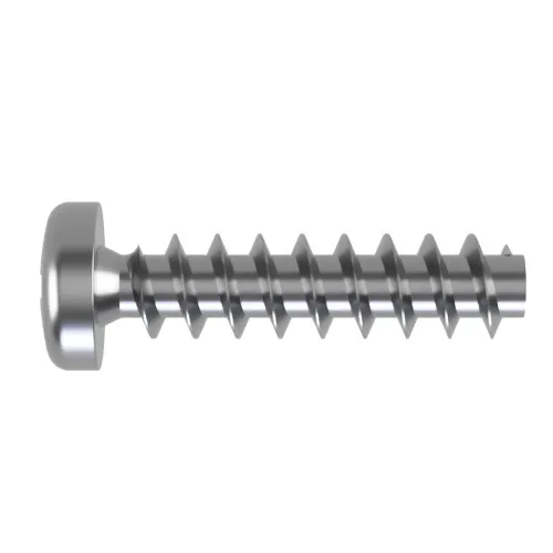 4mm x 16mm Pozi Pan Screw for Hard Plastics (PT45) - PZ2 Drive | A2 Stainless Steel
