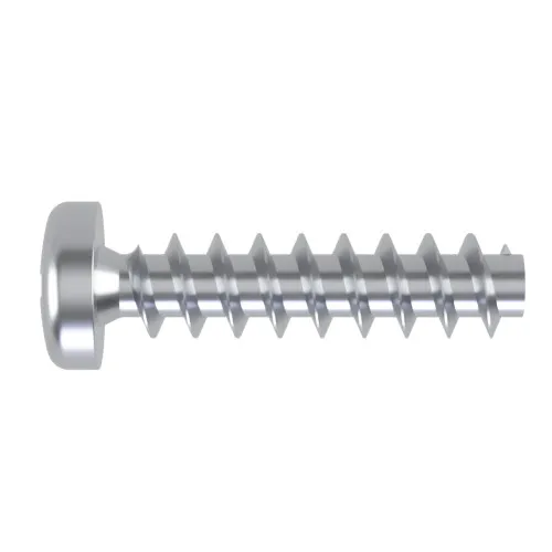 6mm x 16mm Pozi Pan Screw for Hard Plastics (PT45) - PZ2 Drive | BZP Steel