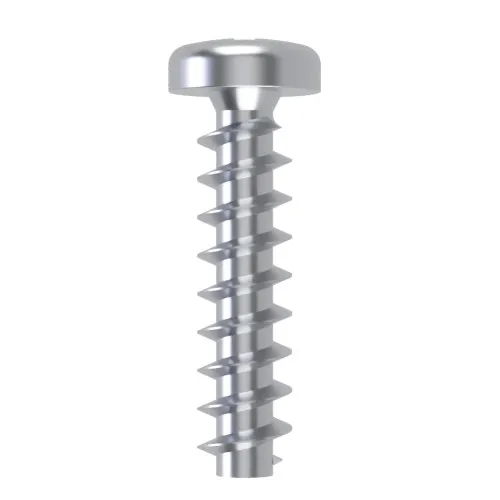6mm x 25mm Pozi Pan Screw for Hard Plastics (PT45) - PZ2 Drive | BZP Steel