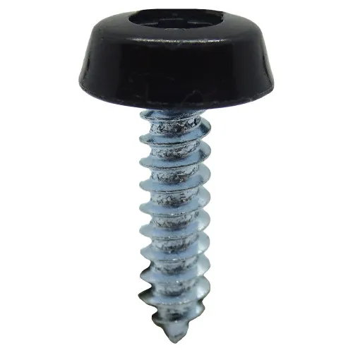 Black 25.4mm Number Plate Screw | BZP