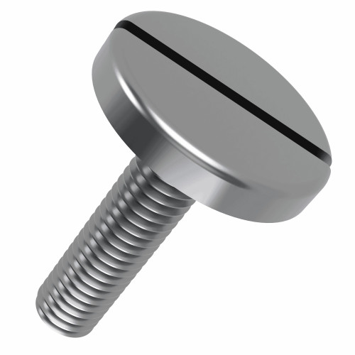 M4 x 10mm Large Head Slotted Pan Head Machine Screw (DIN 921) | A1 Stainless Steel