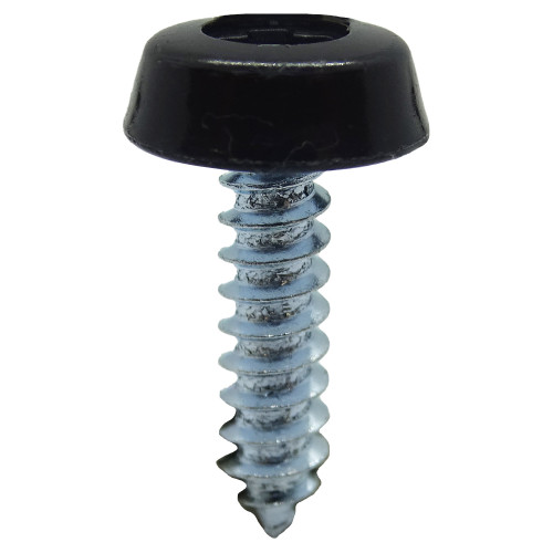 Black 19mm Number Plate Screw | BZP
