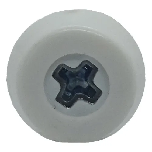 White 19mm Number Plate Screw | BZP