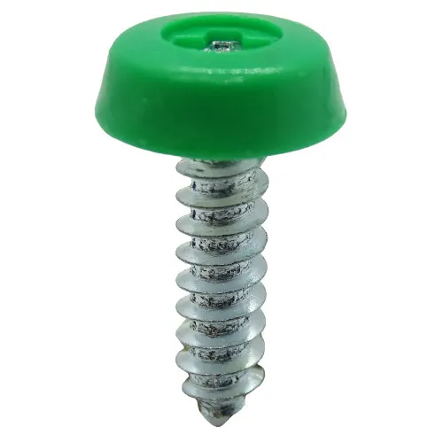 Green 19mm Number Plate Screw | BZP