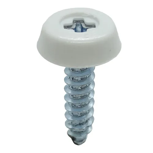 White 25.4mm Number Plate Screw | BZP