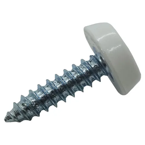 White 25.4mm Number Plate Screw | BZP