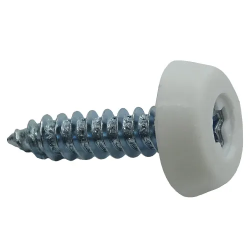 White 25.4mm Number Plate Screw | BZP