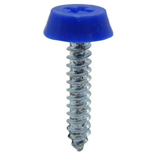 Blue 25.4mm Number Plate Screw | BZP