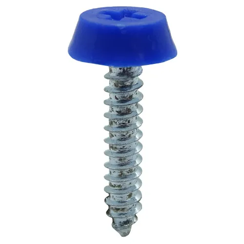 Blue 25.4mm Number Plate Screw | BZP