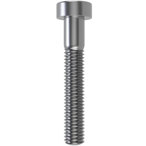 M6 x 22mm T30 Low Socket Torx Cap Screw (ISO 14580) | A2-70 Stainless Steel