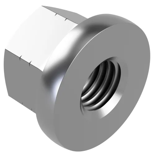 M20 Collar Nut DIN 6331 | A2 Stainless Steel