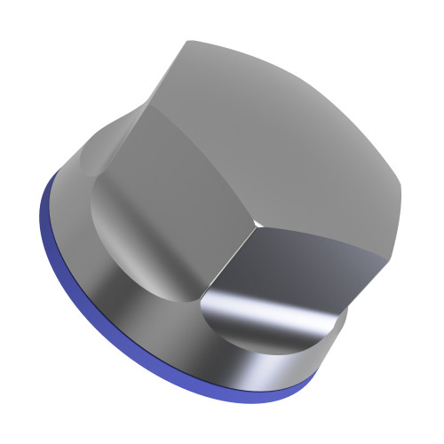 M10 Hygienic Cap Nut - Marine Grade A4 Stainless Steel (EPDM Seal)
