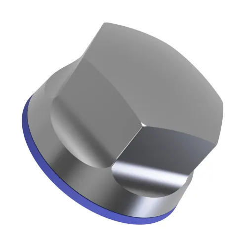 M10 Hygienic Cap Nut - Marine Grade A4 Stainless Steel (EPDM Seal)