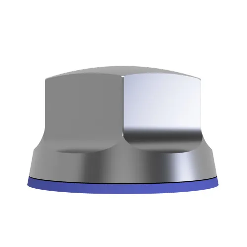 M20 Hygienic Cap Nut - Marine Grade A4 Stainless Steel (NBR Seal)