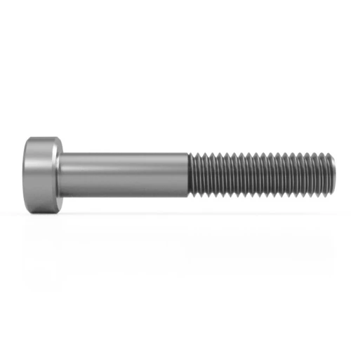 M6 x 65mm Low Hex Socket Cap Screw (DIN 7984) | A2 Stainless Steel