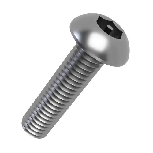 M6 x 25mm Pin Hex Button Screw (2-Way Tamper Proof) | A2 Stainless Steel