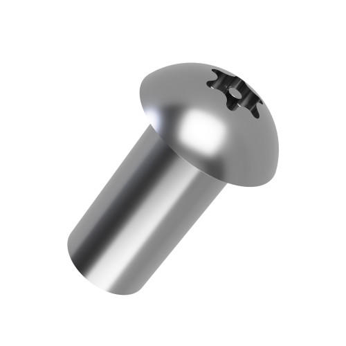 Pin Torx Barrel Nuts for Security Fixings | A2 Stainless
