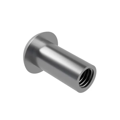 Pin Torx Barrel Nuts for Security Fixings | A2 Stainless