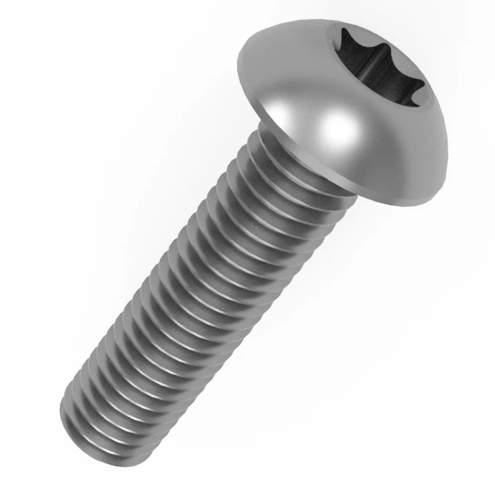 stainless steel torx screw